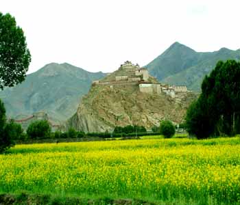 DSCF0075.6 Tibet, Gyantse